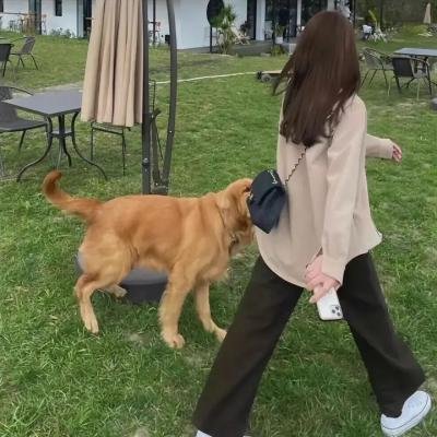 义不容情